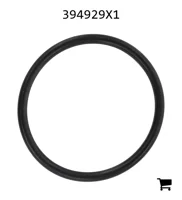 AGCO 394929X1 Уплотнительное кольцо