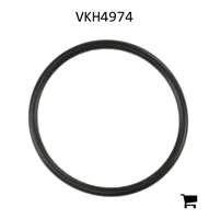 AGCO VKH4974 Уплотнительное кольцо