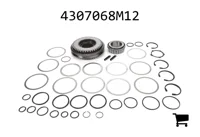 AGCO 4307068M12 Комплект для сервисного обслуживания