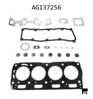 AGCO AG137256 Комплект прокладок