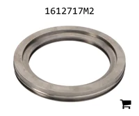 AGCO 1612717M2 Поршень