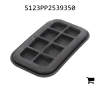 AGCO S123PP2539350 Втулка