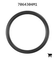 AGCO 7064304M1 Уплотнительное кольцо
