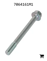 AGCO 7064161M1 Болт с шестигранной головкой и фланцем