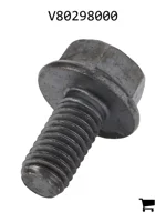 AGCO V80298000 Винт