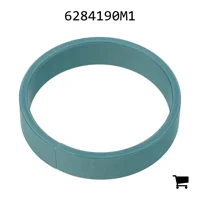 AGCO 6284190M1 Направляющее кольцо