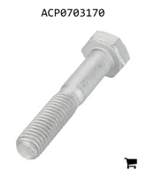 AGCO ACP0703170 Болт с шестигранной головкой