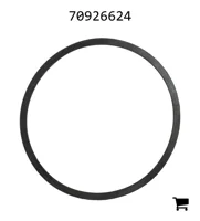 AGCO 70926624 Опорное кольцо
