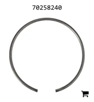 AGCO 70258240 Кольцо