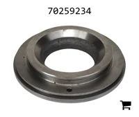 AGCO 70259234 Поршень