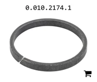 AGCO 0.010.2174.1 Кольцо