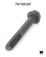 AGCO 70740189 Болт