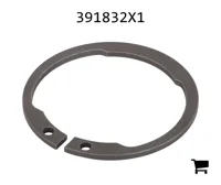 AGCO 391832X1 Стопорное кольцо