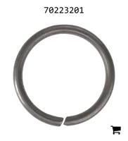 AGCO 70223201 Кольцо