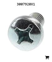 AGCO 3007920X1 Винт с полукруглой головкой