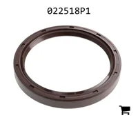 AGCO 022518P1 Уплотнение