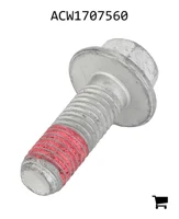 AGCO ACW1707560 Винт с шестигранной головкой и фланцем