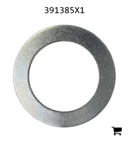 AGCO 391385X1 Плоская шайба