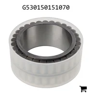 AGCO G530150151070 Цилиндрический роликовый подшипник в сборе с сепаратором