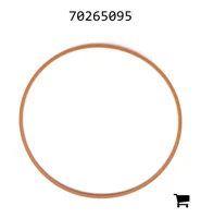AGCO 70265095 Кольцо