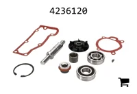 AGCO 4236120 Ремкомплект