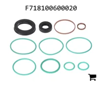AGCO F718100600020 Комплект уплотнений
