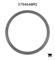 AGCO 3794640M1 Регулировочная шайба