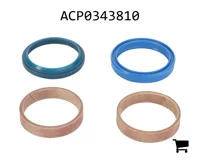 AGCO ACP0343810 Комплект уплотнений