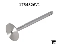 AGCO 1754826V1 Клапан