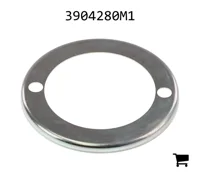 AGCO 3904280M1 Кольцо