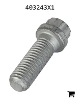 AGCO 403243X1 Винт
