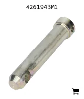 AGCO 4261943M1 Палец