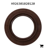 AGCO H926301020120 Сальник