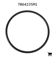 AGCO 7064235M1 Уплотнительное кольцо