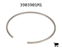 AGCO 3903901M1 Сегмент