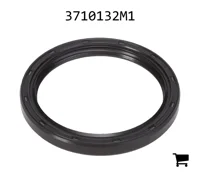 AGCO 3710132M1 Уплотнения