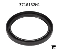 AGCO 3710132M1 Уплотнения