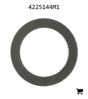 AGCO 4225144M1 Шайба