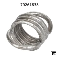 AGCO 70261838 Пружина