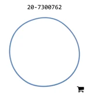 AGCO 20-7300762 Уплотнение