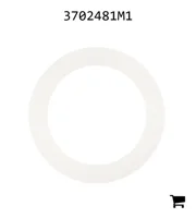 AGCO 3702481M1 Кольцо