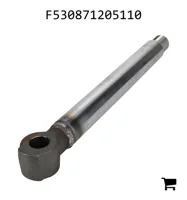 AGCO F530871205110 Шток цилиндра гидроцилиндра навески