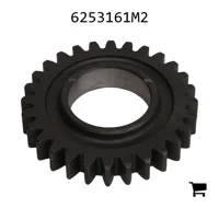 AGCO 6253161M2 Шестерня