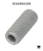 AGCO ACW1066260 Установочный винт
