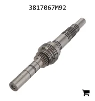AGCO 3817067M92 Входной вал