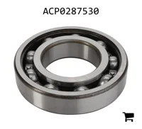 AGCO ACP0287530 Шариковый подшипник