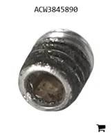 AGCO ACW3845890 Установочный винт