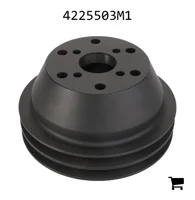 AGCO 4225503M1 Шкив вентилятора