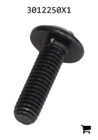 AGCO 3012250X1 Винт с полукруглой головкой