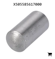 AGCO X505585617000 Палец цилиндра